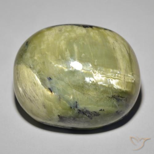 41.82ct Naturel Vert jaunâtre Opale œil de chat, ovale, Opaque
