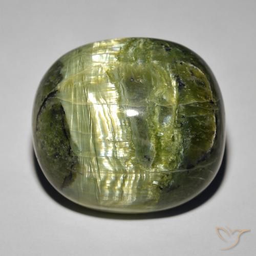 32.39ct Naturel Vert brunâtre Opale œil de chat, ovale, Opaque