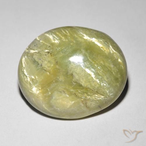 9.84ct Naturel Vert forêt chaud Opale œil de chat, ovale, Opaque
