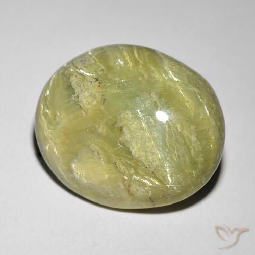 Opale œil de chat Vert forêt chaud naturelle ovale, 9.84 ct, Opaque