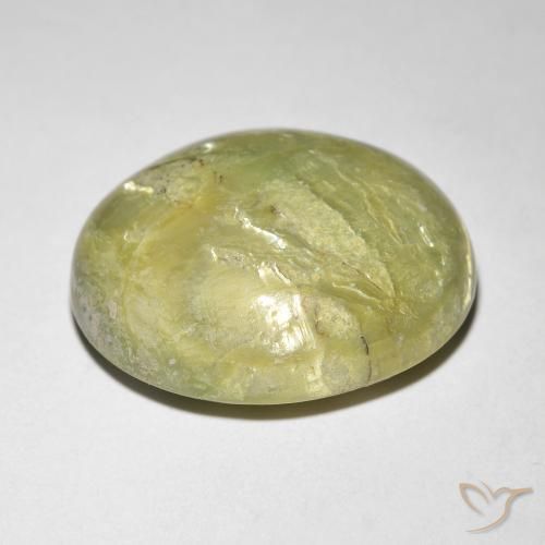 Opale œil de chat Vert forêt chaud naturelle ovale, 9.84 ct, Opaque