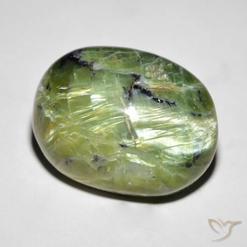 14.55ct Naturel Vert moyen Opale œil de chat, ovale, Opaque