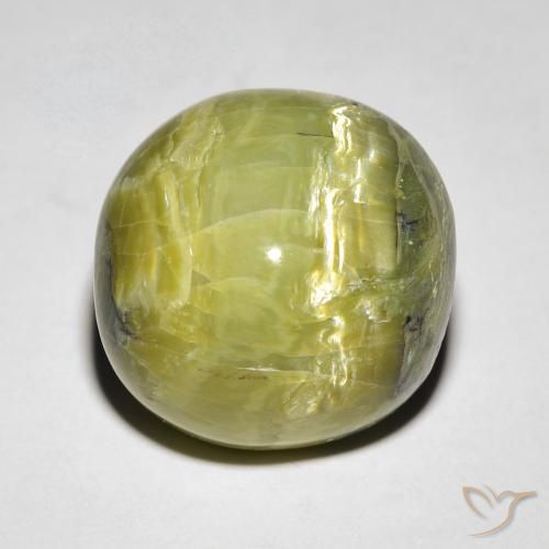 10.64ct Naturel Vert terre Opale œil de chat, ovale, Opaque
