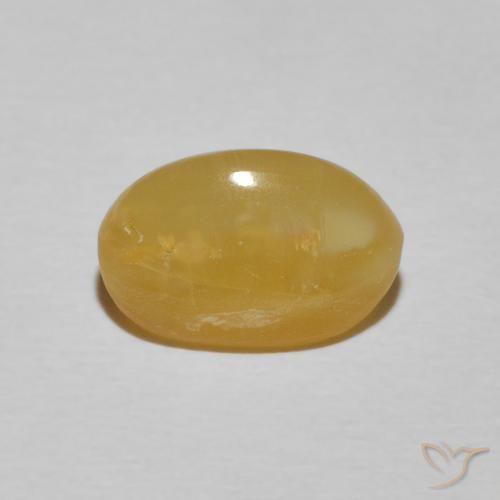 Opale œil de chat Jaune royal naturelle ovale, 2.71 ct, Opaque