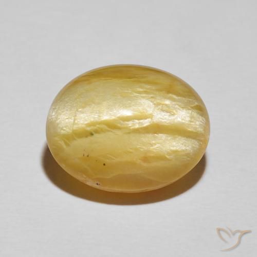 8.78ct Naturel Jaune moyen Opale œil de chat, ovale, Opaque