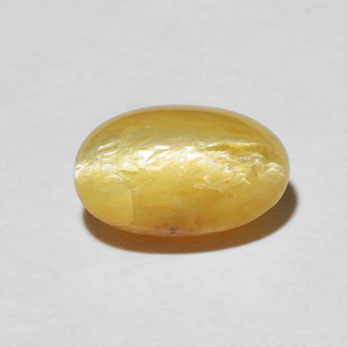 2.61ct Naturel Orange Doré Opale œil de chat, ovale, Opaque