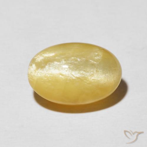 6.04ct Naturel Or moyen Opale œil de chat, ovale, Opaque