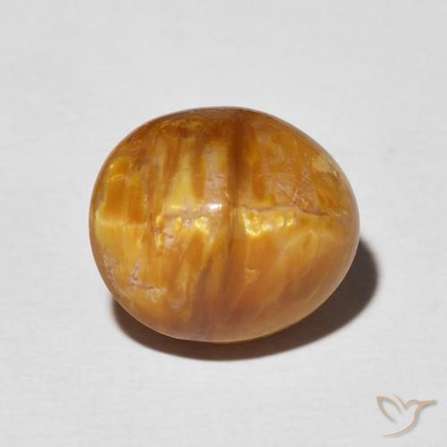 5.76ct Naturel Orange foncé Opale œil de chat, ovale, Opaque