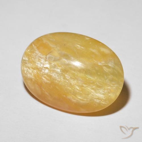 Opale œil de chat Or moyen naturelle ovale, 19.78 ct, Opaque