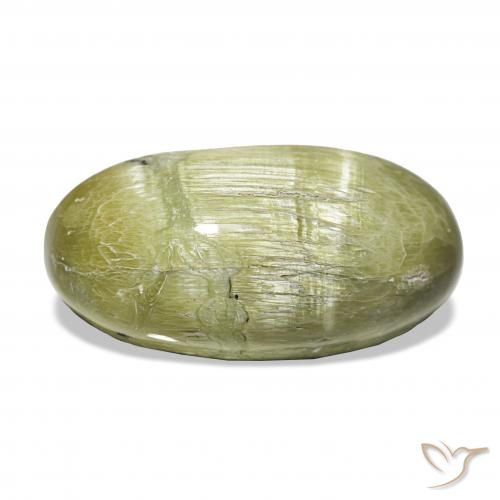 7.30ct Vert jaunâtre Opale œil de chat Pierres précieuses, ovale, Opaque