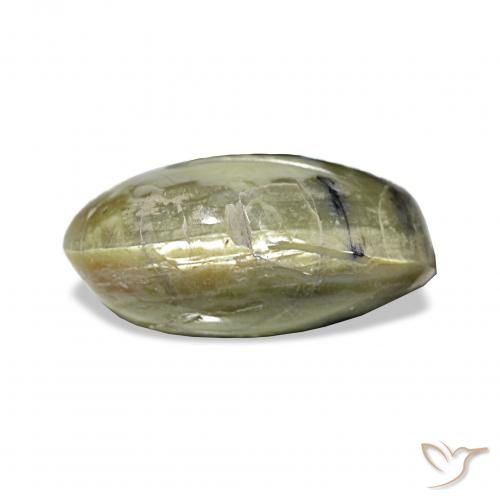 3.02ct Vert jaunâtre Opale œil de chat Pierres précieuses, ovale, Opaque