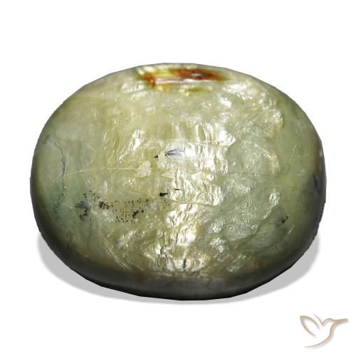 Opale œil de chat Vert terreux naturelle Coussin, 21.69 ct, Opaque