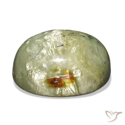 Opale œil de chat Vert terreux naturelle Coussin, 21.69 ct, Opaque