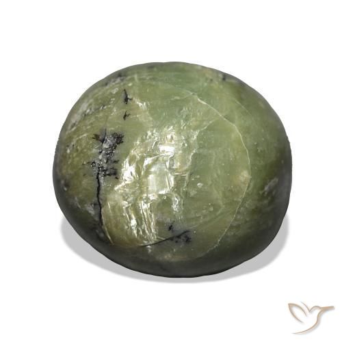 Opale œil de chat Vert terreux naturelle ovale, 4.99 ct, Opaque