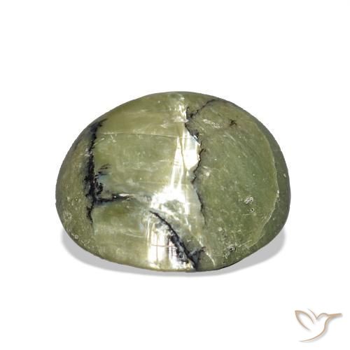 Opale œil de chat Vert chaud naturelle Coussin, 3.00 ct, Opaque