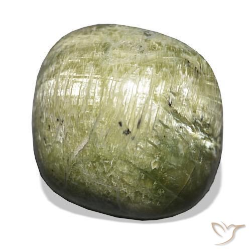 Opale œil de chat Vert moyen naturelle Coussin, 19.28 ct, Opaque