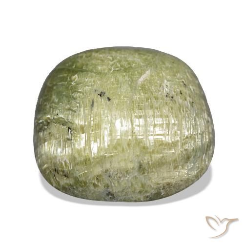 Opale œil de chat Vert moyen naturelle Coussin, 19.28 ct, Opaque