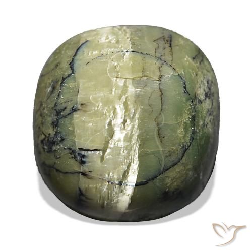 Opale œil de chat Vert jaunâtre naturelle Coussin, 28.96 ct, Opaque
