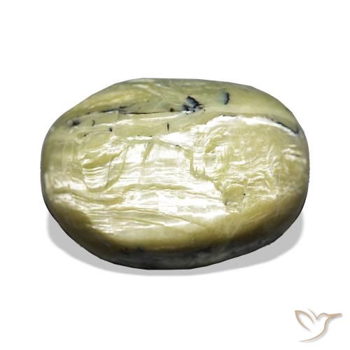 Opale œil de chat Vert chaud naturelle ovale, 11.66 ct, Opaque