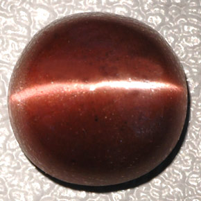 Cat's eye scapolite marron naturelle coupe ovale, 4,26 ct, opaque