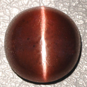 Cat's eye scapolite marron naturelle coupe ovale, 4,26 ct, opaque