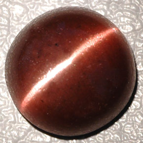 Cat's eye scapolite marron naturelle coupe ovale, 4,26 ct, opaque