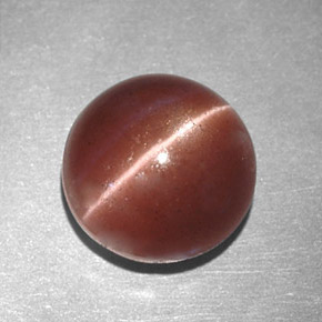 Cat's eye scapolite marron naturelle coupe roude, 2,78 ct, opaque