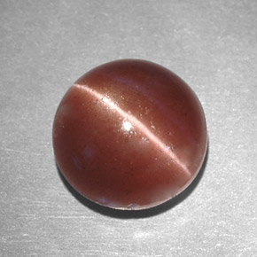 Cat's eye scapolite marron naturelle coupe roude, 2,78 ct, opaque