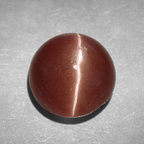 Cat's eye scapolite marron naturelle coupe roude, 2,78 ct, opaque
