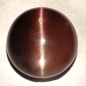 Cat's eye scapolite marron naturelle coupe roude, 11,06 ct, translucide