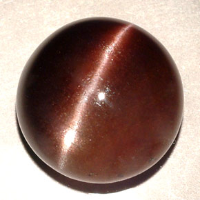Cat's eye scapolite marron naturelle coupe roude, 11,06 ct, translucide