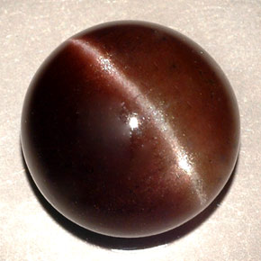 Cat's eye scapolite marron naturelle coupe roude, 11,06 ct, translucide