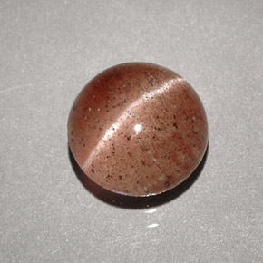 Cat's eye scapolite marron naturelle transparent, 1,96 ct, transparent / translucide