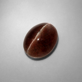 Cat's eye scapolite marron naturelle coupe ovale, 8,31 ct, translucide