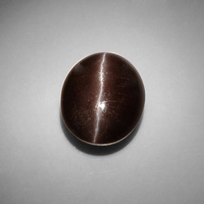 Cat's eye scapolite marron naturelle coupe ovale, 8,66 ct, translucide