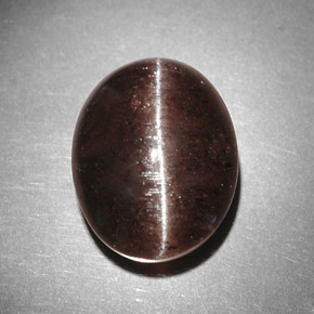 Cat's eye scapolite marron naturelle coupe ovale, 9,31 ct, translucide