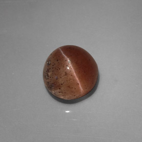 Cat's eye scapolite marron naturelle transparent, 2,31 ct, transparent / translucide
