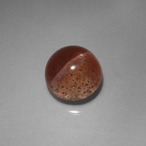 Cat's eye scapolite marron naturelle transparent, 2,31 ct, transparent / translucide