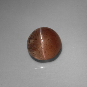 Cat's eye scapolite marron naturelle transparent, 2,31 ct, transparent / translucide