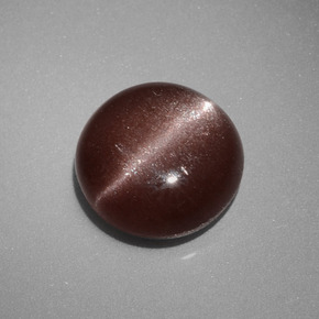 Cat's eye scapolite marron naturelle coupe roude, 2,40 ct, opaque