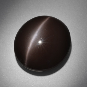 Cat's eye scapolite marron naturelle coupe ovale, 24,01 ct, opaque