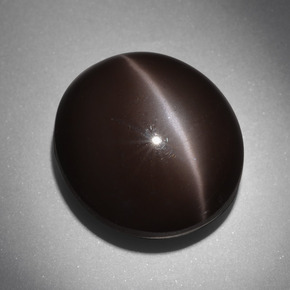 Cat's eye scapolite marron naturelle coupe ovale, 24,01 ct, opaque