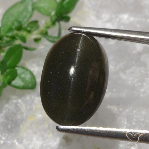 Scapolite œil de chat Marron noirâtre naturelle Coupe ovale, 6.38 ct, Translucide