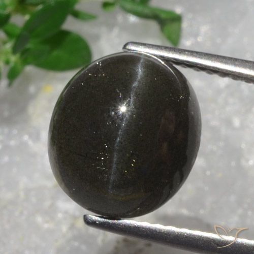 5.43ct Naturel Brun chocolat noir Scapolite œil de chat, ovale, Translucide