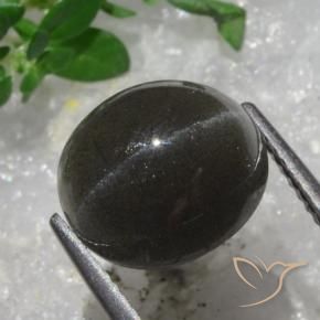 Scapolite œil de chat Brun chocolat noir naturelle ovale, 5.43 ct, Translucide