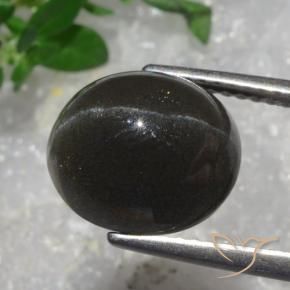 Scapolite œil de chat Brun chocolat noir naturelle ovale, 5.43 ct, Translucide