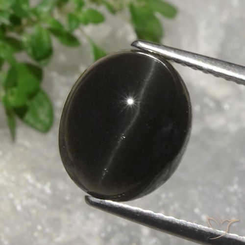 5.07ct Naturel Marron foncé Scapolite œil de chat, ovale, Translucide