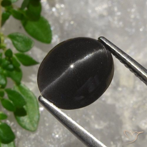 3.20ct Naturel Brun chocolat noir Scapolite œil de chat, ovale, Translucide