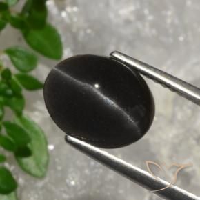 Scapolite œil de chat Brun chocolat noir naturelle ovale, 3.20 ct, Translucide