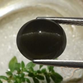 Scapolite œil de chat Noire naturelle ovale, 5.83 ct, Translucide